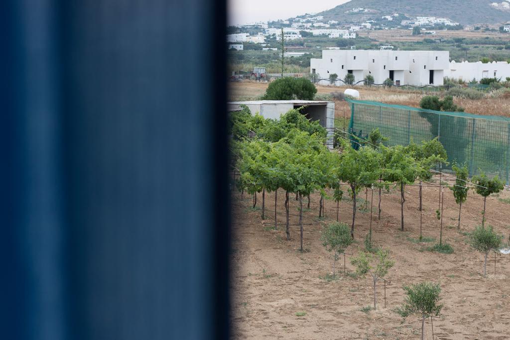 Kalea Luxury Villas Agia Anna (Naxos) Exterior photo